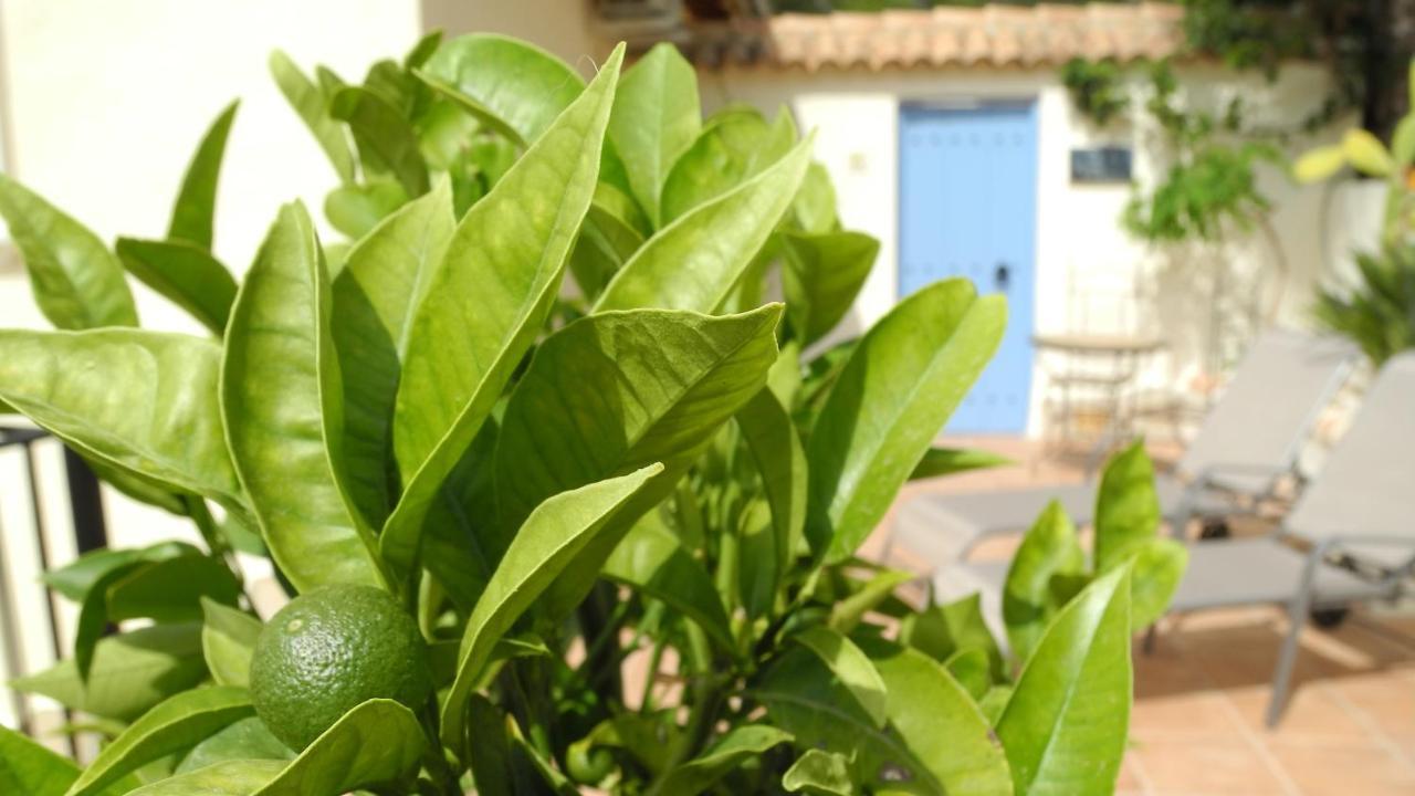 Lliber Casa Romero المظهر الخارجي الصورة